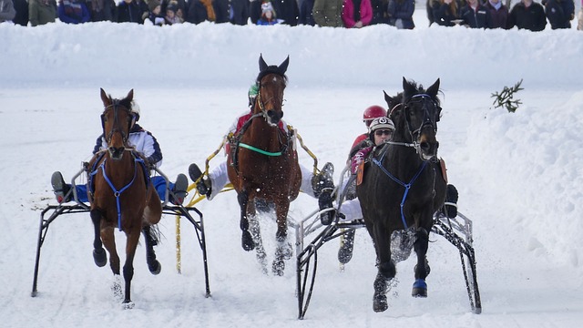 主场比赛 主场比赛