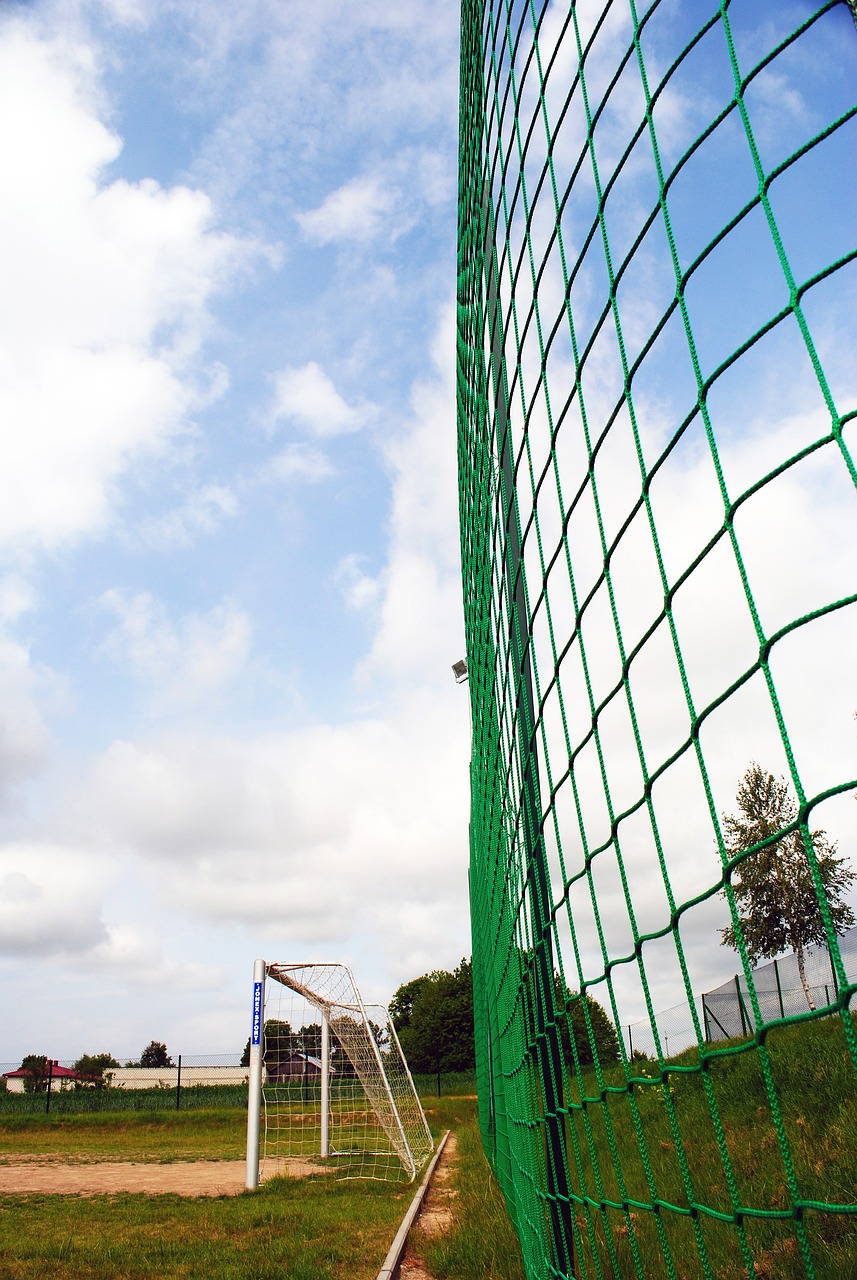 伤病问题也 伤病问题也