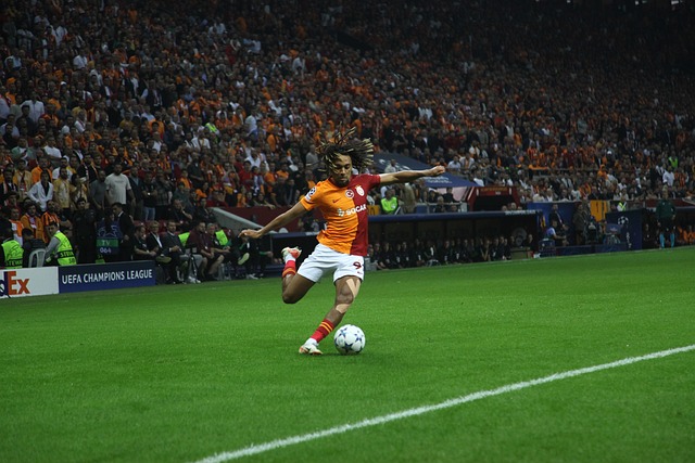 情的完美结 情的完美结