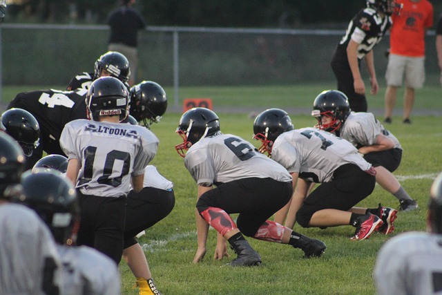 仅使凯尔特 仅使凯尔特