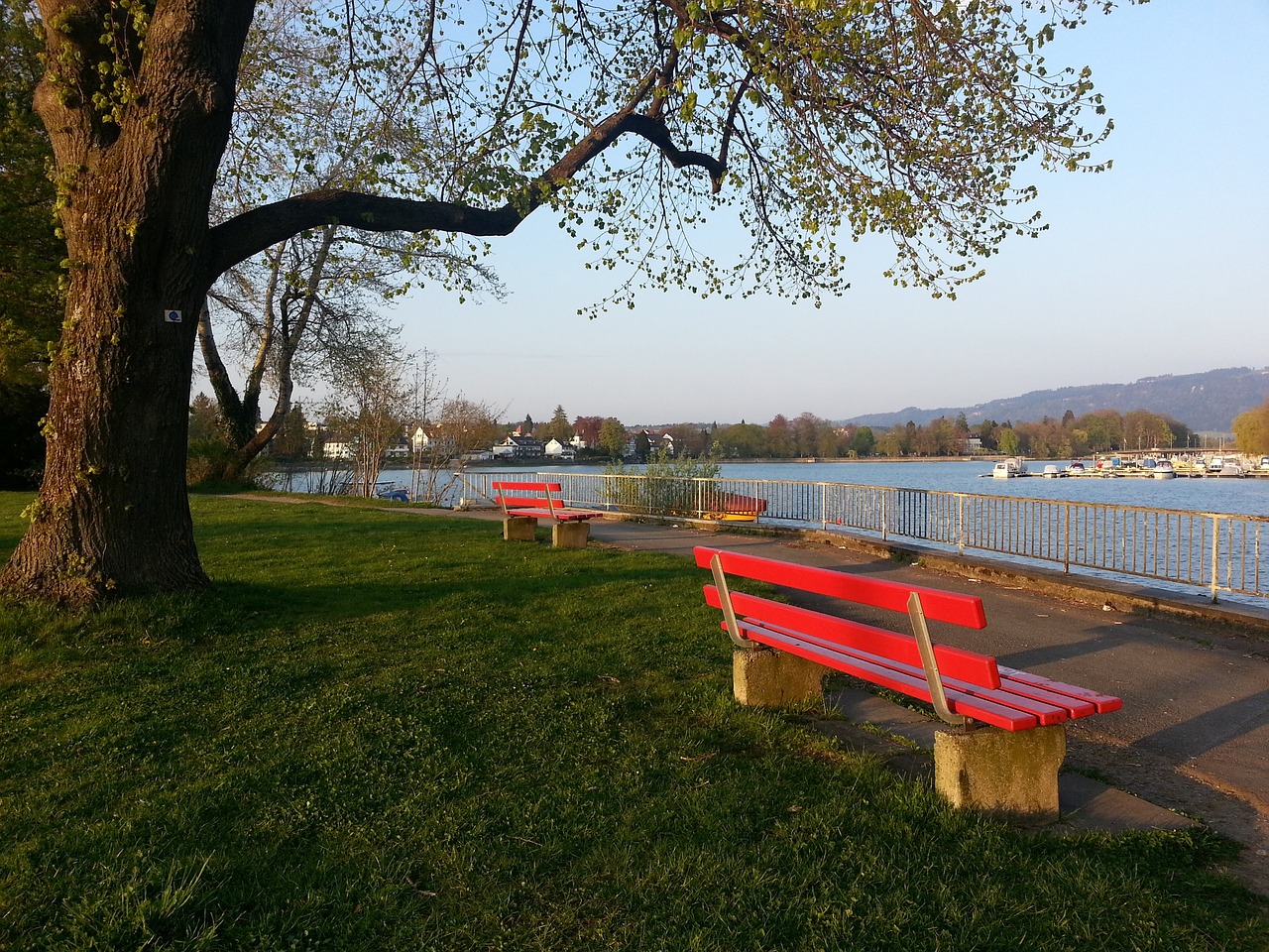 而这名中锋 而这名中锋