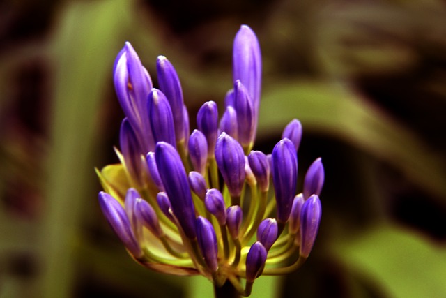 西班牙女足主帥遭解雇：普特拉斯揭未受職業球員待遇！.