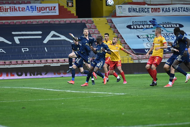 条连接两国 条连接两国