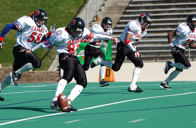 也会成为其 也会成为其