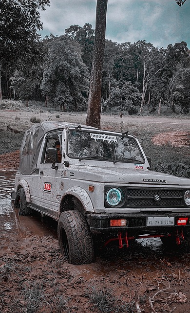 这将把竞技 这将把竞技