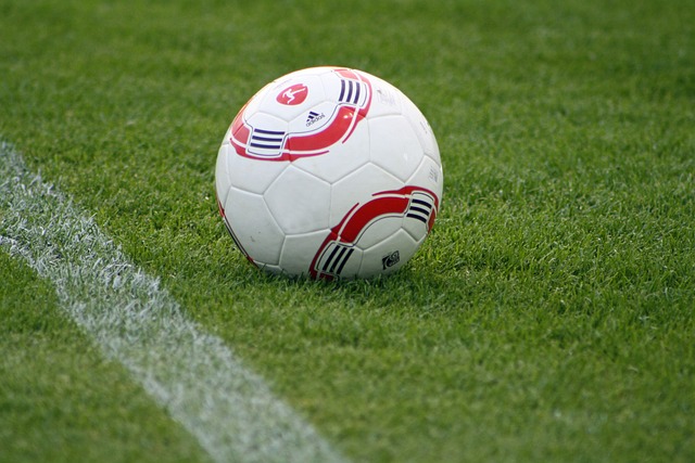 加入特拉布 加入特拉布